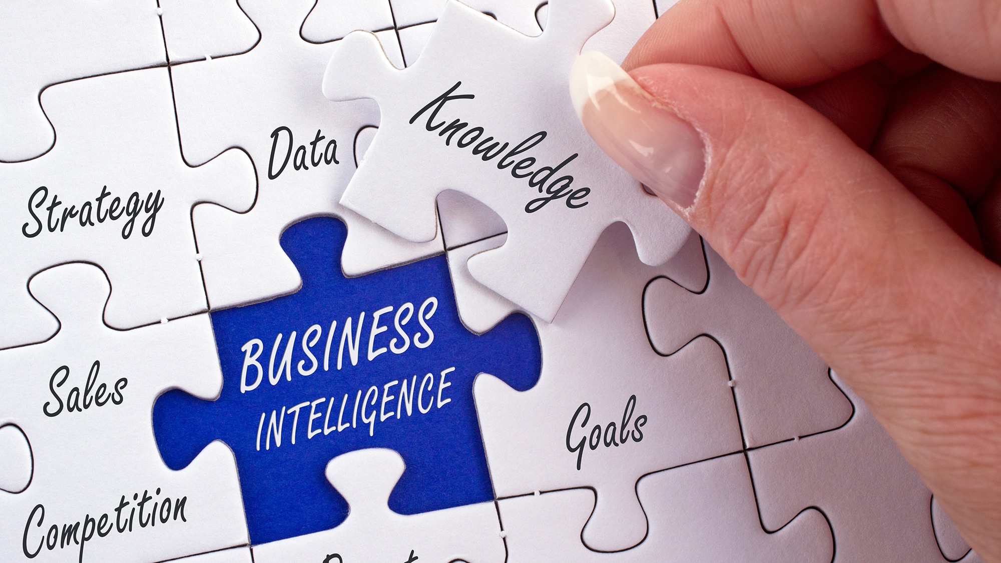 Business Integlligence